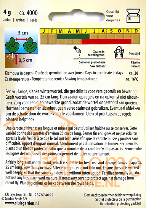 Berlikumer 2 Wortel Zaden: Kweek Heerlijke, Lange Herfst- en Winterwortelen - Grow Delicious, Long Autumn and Winter Carrots