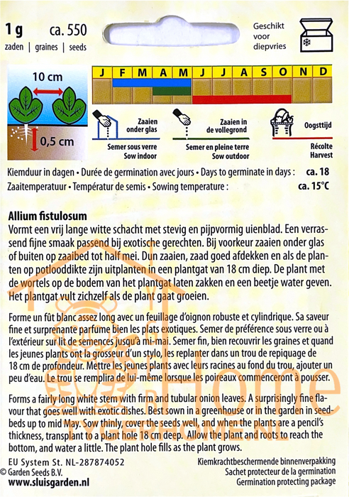 White Lisbon Bosui Lenteui Zaden: Kweek Heerlijke, Knapperige Lente-uitjes - Grow Delicious, Crunchy Spring Onions - Cultivez des Oignons de Printemps Croquants et Savoureux