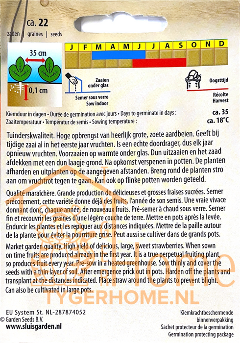 Aardbei Grandian F1 | Grootvruchtige doordrager | Zoete, sappige vruchten uit eigen tuin - 3x