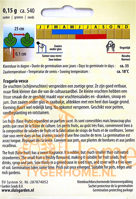 Baron Solemacher Rugen – Zaden voor Kleine, Heerlijke en Aromatische Bosaardbeien