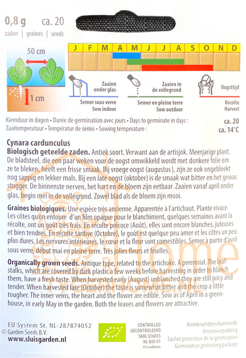 Kardoen Overblijvende Artichaut Zaden: Kweek Heerlijke, Veelzijdige Kardoenen - Grow Delicious, Perennial Cardoons - Cultivez des Cardons