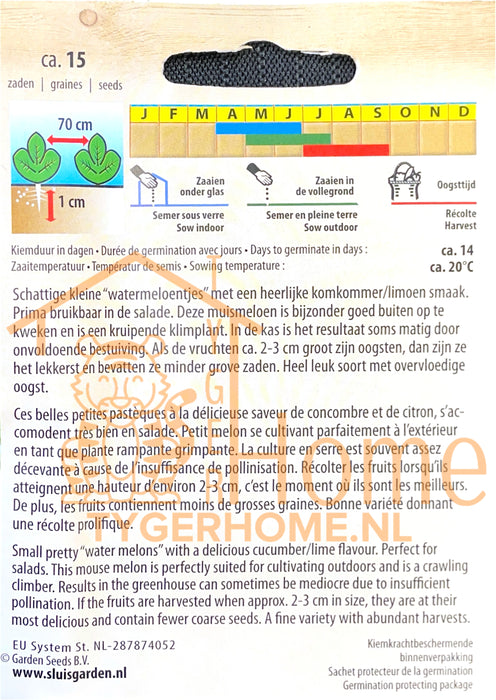 Muismeloen Melothria Scabra Zaden: Kweek Heerlijke, Unieke Muismeloenen - Grow Delicious, Unique Mouse Melons - Cultivez des Melons Souris Uniques et Savoureux