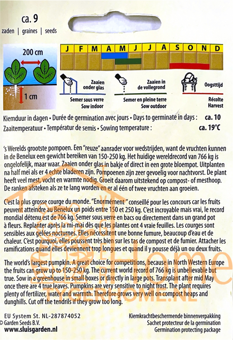 Atlantic Giant Pompoen Zaden: Grow Massive, Impressive Pumpkins in Your Own Garden - Kweek Gigantische, Indrukwekkende Pompoenen
