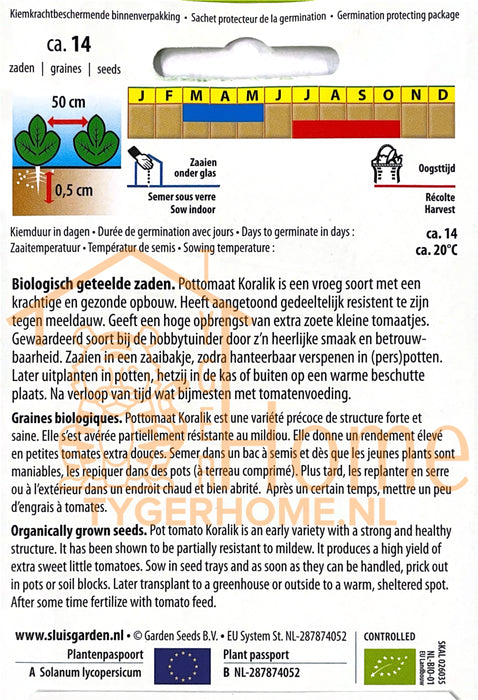 Koralik Pot- of Kerstomaat Zaden: Kweek Heerlijke, Sappige Kerstomaten met Zoete Smaak en Compacte Groei, Perfect voor Potten, Balkons en Kleine Tuinen