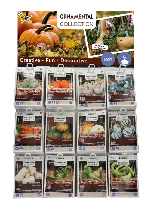 Sierpompoen Zaden Display – 120 Stuks (12 Soorten) – Decoratieve Pompoenen Mix – Perfect voor Tuin, Herfstdecoratie & Creatieve Projecten