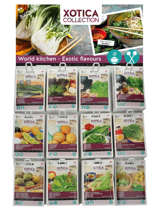 Exotische Planten Zaden Display – 120 Stuks (12 Soorten) – Tropische & Bijzondere Planten – Kweekset voor Binnen & Buiten