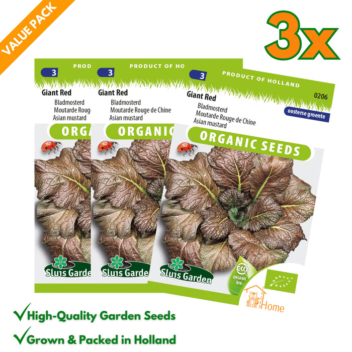 Giant Red | Bladmosterd | Oosterse mosterd met pittige smaak | Perfect voor roerbakgerechten en salades - 3x