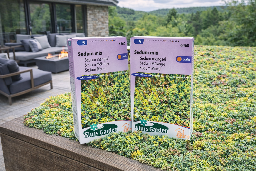 50 X stuks Sedum mix | Sierlijke bodembedekker | Vetplanten mengsel voor tuin of dak | Winterhard vaste plant zaden (kopie)