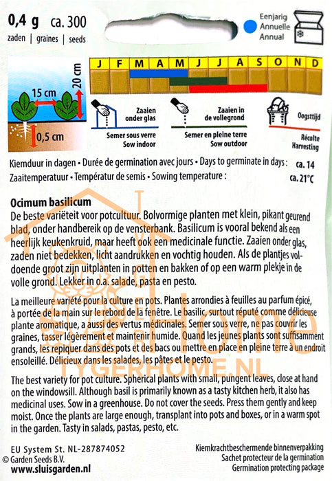 Minette Griekse Postbasilicum Zaden: Kweek Heerlijke, Aromatische Griekse Basilicum met Intense Smaak en Fijne Bladeren voor Culinaire Gerechten