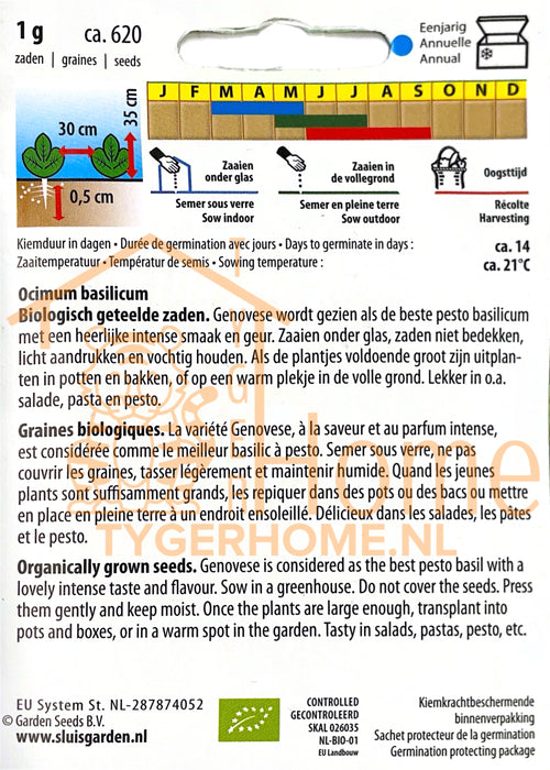 Genoveser Ustosa Basilicum Grofbladig Zaden: Kweek Heerlijke, Aromatische Basilicum - Grow Delicious, Aromatic Broad-Leaved Basil