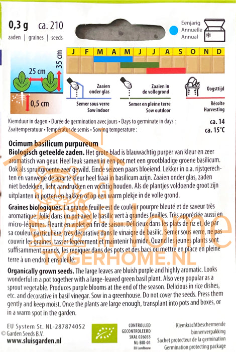 Dark Opal Basilicum Purperbladig Zaden: Kweek Heerlijke, Aromatische Paarse Basilicum - Grow Delicious, Aromatic Purple Basil