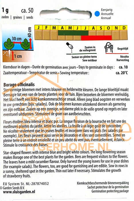 Komkommerkruid Borage Zaden - Blauw en Wit: Kweek Heerlijke, Aromatische Bernagie met Eetbare Bloemen en Verfrissende Smaak voor Salades, Thee en Bijvriendelijke Tuinen