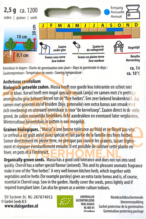 Kervel Massa Echte Kervel Gladbladig Zaden: Kweek Heerlijke, Aromatische Kervel met Zachte Bladeren en Fijne Anijsachtige Smaak voor Soepen, Salades en Kruidenmengsels