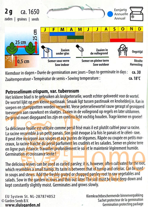 Wortelpeterselie Peterseliewortel Halflange Zaden: Kweek Heerlijke, Voedzame Peterseliewortels - Grow Delicious, Nutritious Parsley Root - Cultivez des Racines de Persil Savoureuses et Nutritives