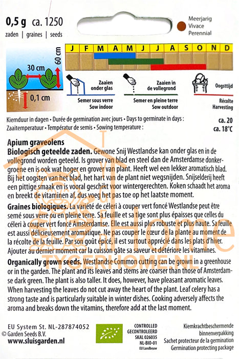 Gewone Snij Westlandse Snijselderij Bladselderij Zaden: Kweek Heerlijke, Aromatische Selderij met Intense Smaak en Fijne Bladeren voor Soepen, Salades en Mediterrane Gerechten