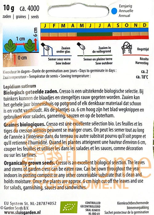 Tuinkers Zaden Cresso Sterrekers of Bitterkers - Snelgroeiende en Smaakvolle Microgroente voor Salades, Broodjes en Soepen - Eenvoudig te Kweken