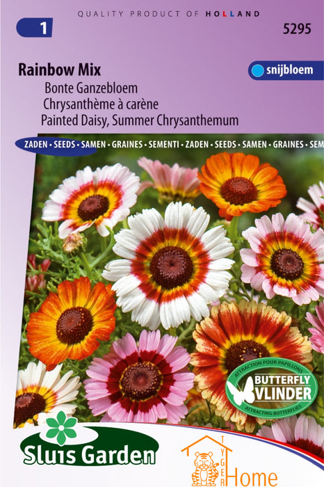 Rainbow Mix Bonte Ganzebloem Bloemen Zaden voor de Tuin: Kweek Prachtige, Kleurrijke Ganzebloemen