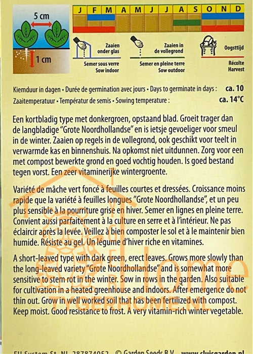 Veldsla Volhart 2 Kroonsla Zaden: Kweek Heerlijke, Knapperige Bladeren voor een Verse Oogst
