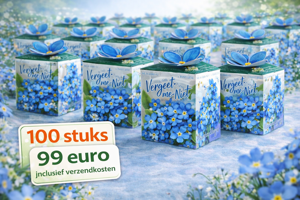 100 graines de myosotis (Forget-me-Me-Myosotis) | 99 € frais de port inclus