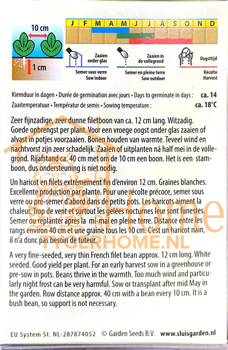 Stamslaboon Filet Niki Zaden, Malse en Knapperige Groene Boon