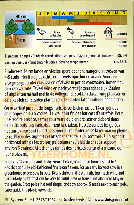 Stamsnijboon Artemis Zaden: Kweek Heerlijke, Knapperige Snijbonen met Fijne Textuur en Volle Smaak voor een Rijke Oogst in Jouw Moestuin - Grow Delicious