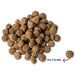 Renske Super Premium Adult Oceaanvis Hypoallergeen