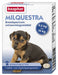 Beaphar Milquestra Kleine Hond / Pup