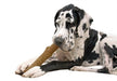 Petstages Dogwood Durable Stick