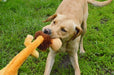 Happy Pet Wild Crinkler Leeuw