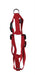 Martin Hondentuig Basic Nylon Rood