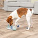 Trixie Dog Activity Mini Solitaire Hondenspel