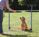 Trixie Dog Activity Agility Horde Blauw / Oranje