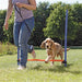 Trixie Dog Activity Agility Horde Blauw / Oranje