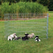 Trixie Natura Puppyren Gegalvaniseerd Metaal 8 Panelen