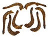 Petsnack Kalkoennek