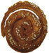 Croci Bakery Kaneelbroodje Kip