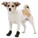 Trixie Pootbescherming Walker Active Zwart
