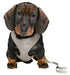 Trixie Junior Puppytuig Soft Met Riem Lichtgrijs