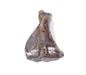 Petsnack Varkensschouderblad