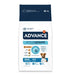 Advance Mini Adult