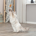 Trixie Kattenhengel Vis Kunststof / Pluche