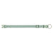 Trixie Halsband Hond Premium Salie Groen