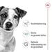 Royal Canin Mini Adult