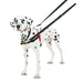 Halti Harness Front Control Zwart