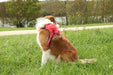 Zolux Easyride Hondentuig Rood