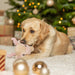 Trixie Rendier Met Geluid Pluche
