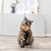 Trixie Kattenhengel Ster Pluche Met Kattenkruid / Catnip