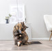 Trixie Kattenhengel Ster Pluche Met Kattenkruid / Catnip