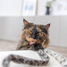 Trixie Kattenhengel Staart Panterprint Pluche Met Kattenkruid / Catnip