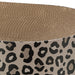 Trixie Krabmat / Mand Leo Karton Met Kattenkruid / Catnip Bruin